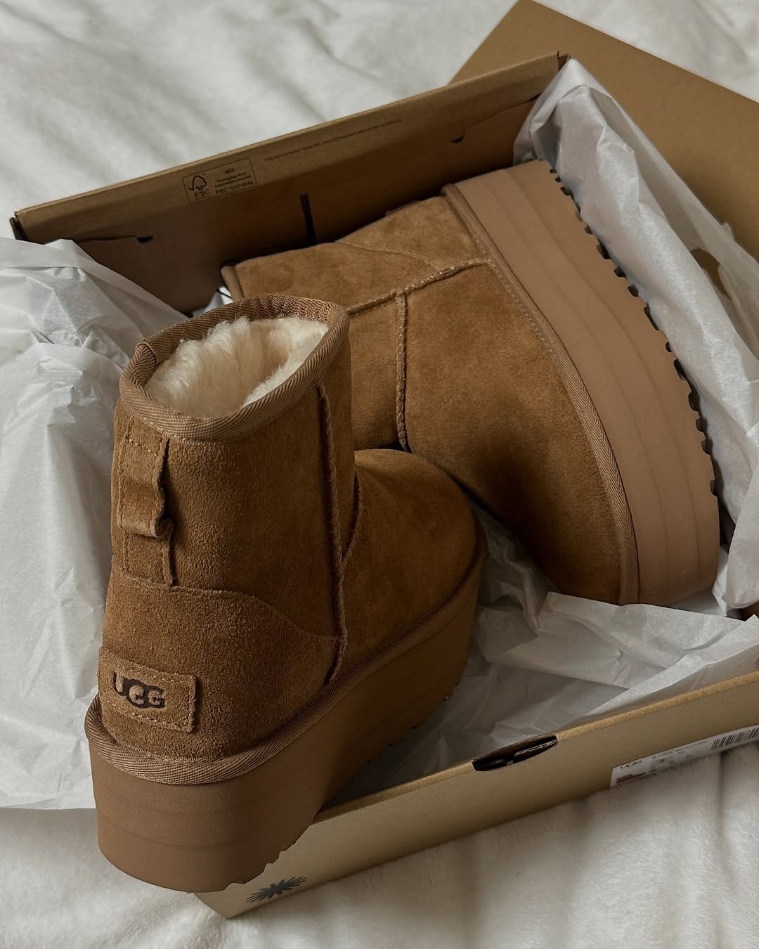 ugg