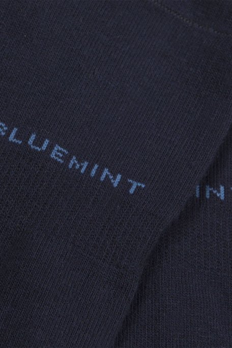 Bluemint Logolu Bambu Karışımlı Babet Erkek Çorap BM250234854A 155 LACİVERT - 3