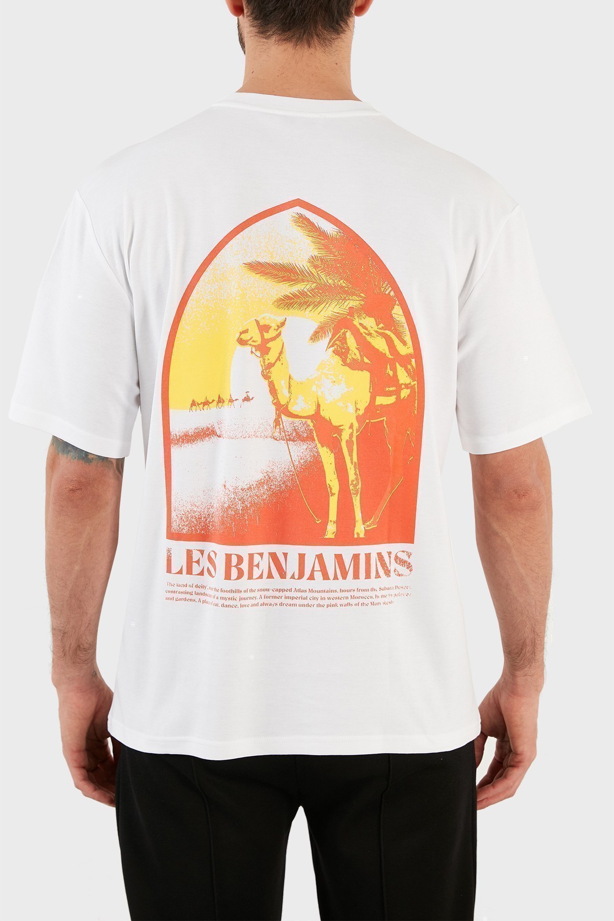 Les Benjamins Regular Fit Bisiklet Yaka % 100 Pamuk Erkek T Shirt LB22SSTMJMUTS-003 BEYAZ