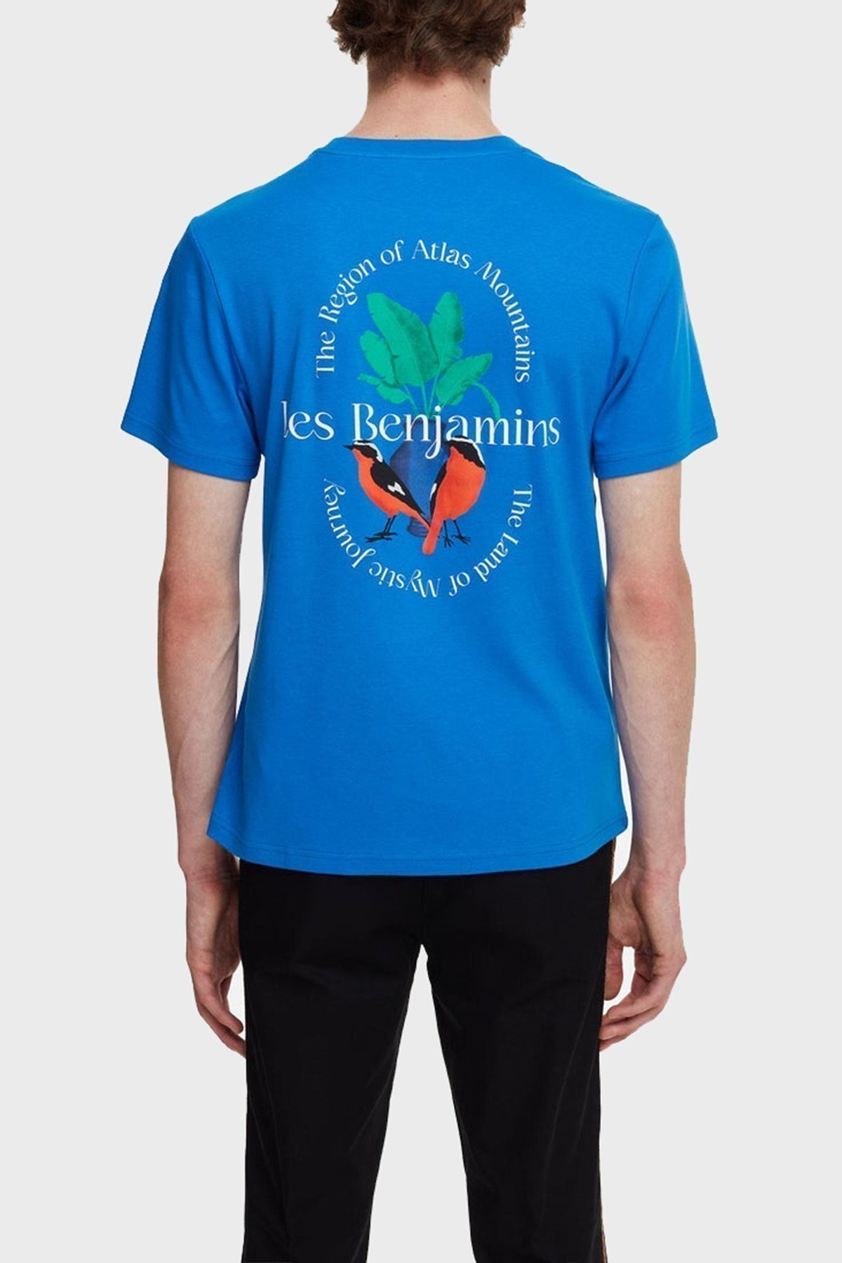 Les Benjamins Regular Fit Bisiklet Yaka % 100 Pamuk Erkek T Shirt LB22SSTMJMUTS-008 SAKS